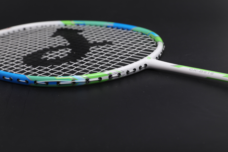 Carbon Feather Racket CX-B618 Sininen